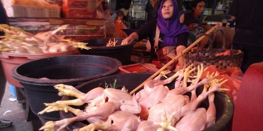 Harga daging ayam terus naik tembus Rp 54.000 per kg