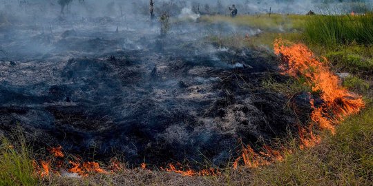 Dalam lima bulan, 1.870 hektar lahan terbakar di Riau