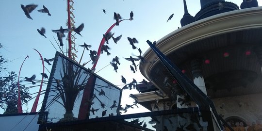 Sambut Waisak, umat Buddha di Bali bebaskan 1500 burung
