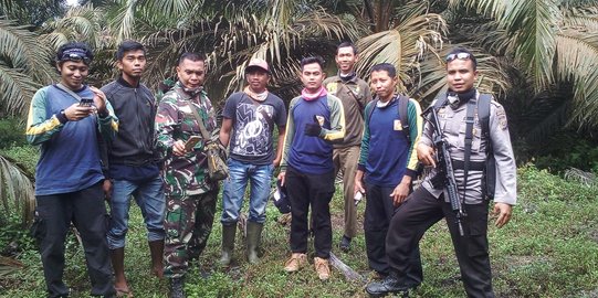 Warga resah harimau Sumatera berkeliaran di perkebunan kelapa sawit Indragiri Hulu