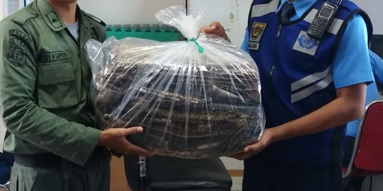 Ditulis isi  kain paket  kargo dari Pekanbaru  ternyata 