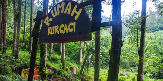 Kampung kurcaci Purbalingga 'bersolek' sambut libur Lebaran