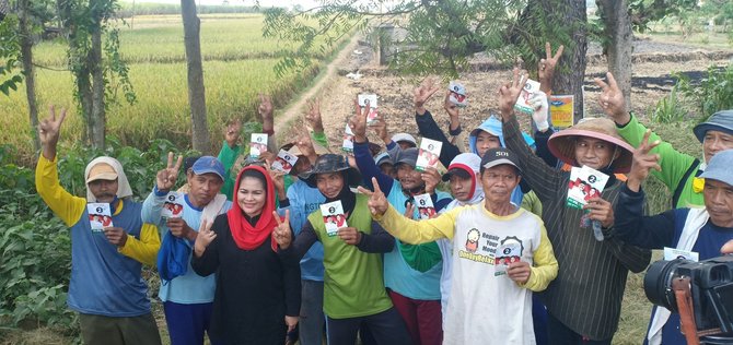 puti guntur disambut ratusan petani