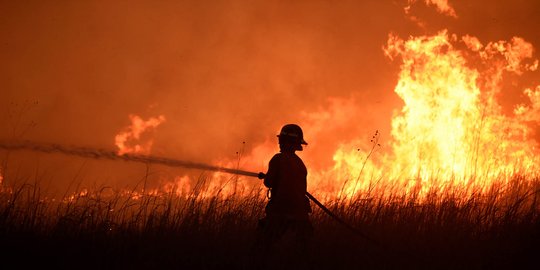 Jelang Asian Games 2018, kebakaran hutan masih terjadi di Riau