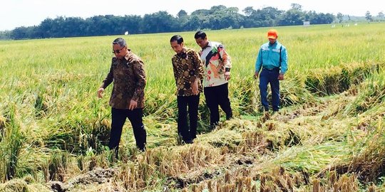 Presiden Jokowi: Komoditas pangan akan jadi rebutan negara-negara di dunia