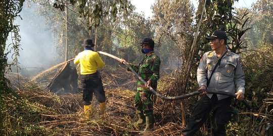 Sudah 50 hektare kebakaran lahan gambut dan perkebunan di Aceh Selatan