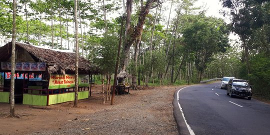 Rehat mudik di pinggiran Hutan Kubangkangkung Cilacap