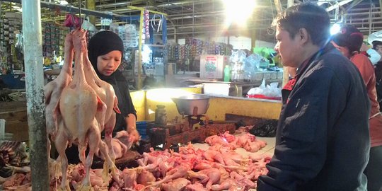 Harga ayam potong merangkak naik jadi Rp 60.000 per Kg