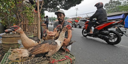 H-3 Lebaran, penjual ayam mulai ramai di pinggir jalan