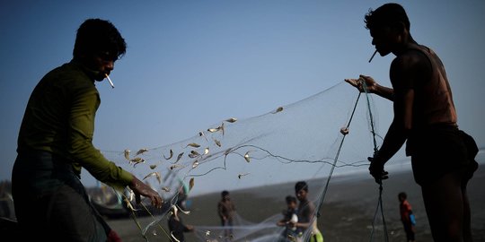 Kisah pengungsi Rohingya bertahan hidup menjadi nelayan