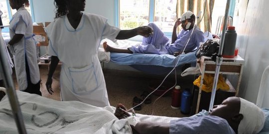Kenya diserang wabah demam lembah rift, 6 orang tewas