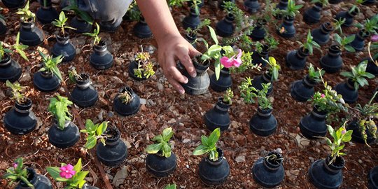 Rezeki Lebaran, usaha pot bunga raup untung Rp 3 juta per hari