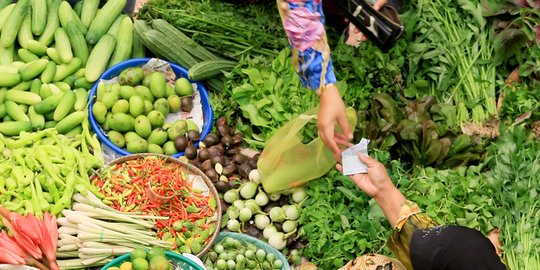 Harga seledri di Jambi tembus Rp 100.000 per Kg selama 