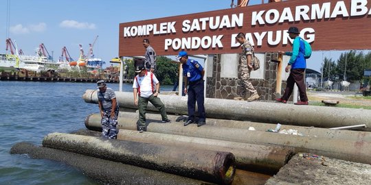 Pemprov DKI siapkan senapan bius buat taklukan buaya Ancol