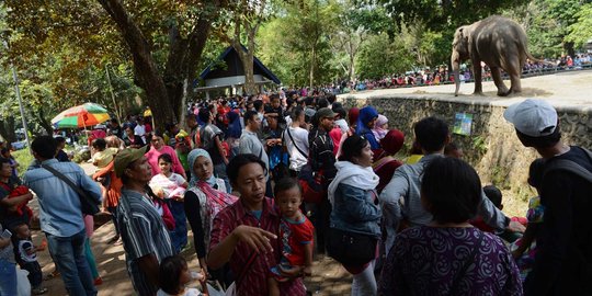 Hari ini, 102.965 orang kunjungi Kebun Binatang Ragunan