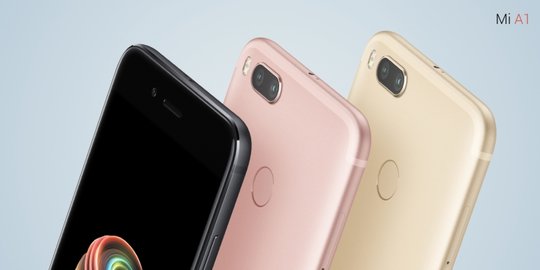 a1