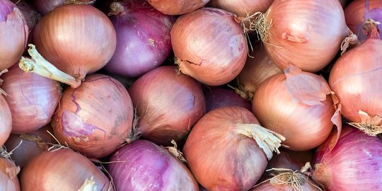 Berisiko ditinggal pembeli, pedagang diklaim tak punya nyali jual bawang merah palsu