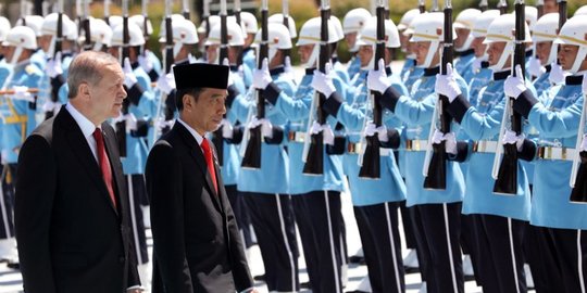 Presiden Jokowi telepon Erdogan bahas kemerdekaan Palestina
