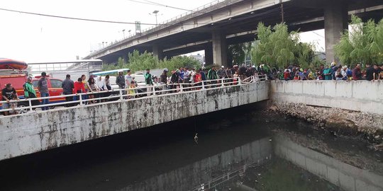 Hari ini, dua ekor buaya kembali terlihat di Kali Grogol