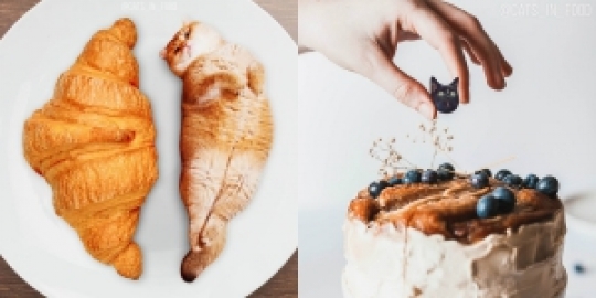 Ada Kucing dalam Makanan Lezat, Masih Mau Disantap?