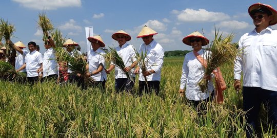 Nilai tukar petani Juni 2018, Maluku naik tertinggi Riau turun paling dalam