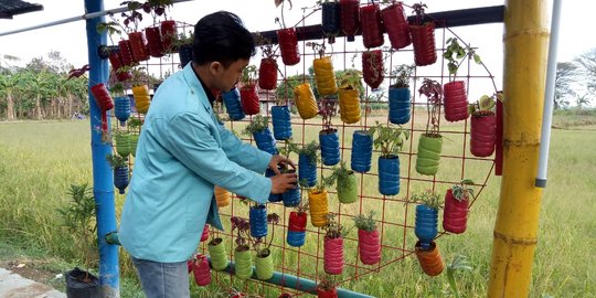 Mahasiswa UNS kembangkan desa wisata dengan gerakan vertical garden