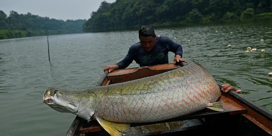 di sungai brantas rev1