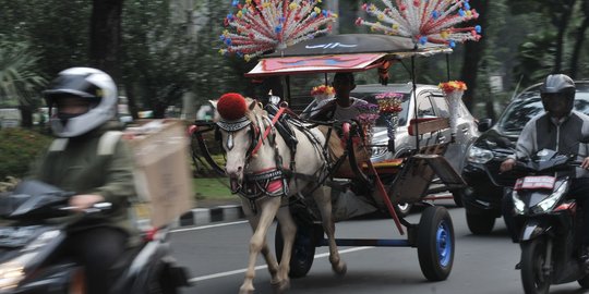 Pemprov DKI larang delman beroperasi selama Asian Games 2018