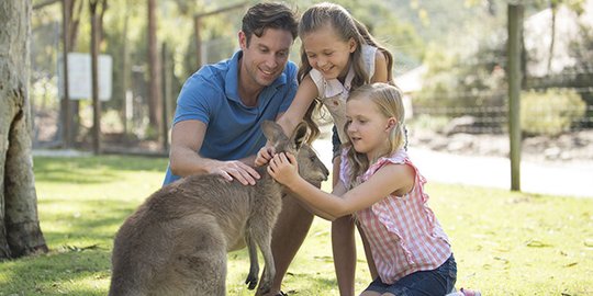 Bercengkrama dengan kanguru dan koala di Paradise Country
