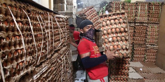 Usai Lebaran, harga telur ayam meroket jadi Rp 25.000 per Kg