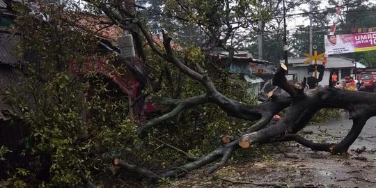 Puting beliung landa Medan, pohon bertumbangan timpa mobil dan rumah