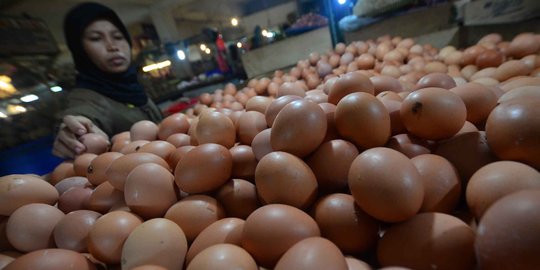 Pedagang bingung harga telur ayam meroket usai Lebaran