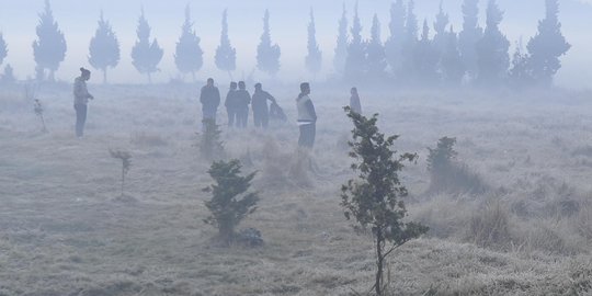 Dampak suhu dingin, embun upas muncul di Dieng