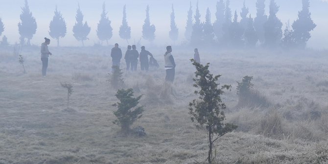 Dampak Suhu Dingin Embun Upas Muncul Di Dieng Merdeka Com