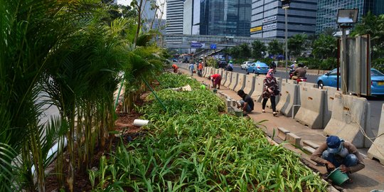 Tanaman hijau percantik pedestrian di Jalan Sudirman
