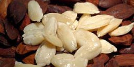 Konsumsi walnut bisa kurangi risiko diabetes