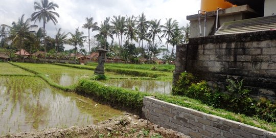 BPS: Kesejahteraan petani di Kalbar masuk kategori rendah