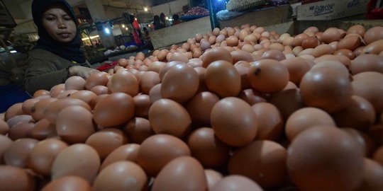 Terus meroket, harga telur diprediksi bakal tembus Rp 30.000 per Kg