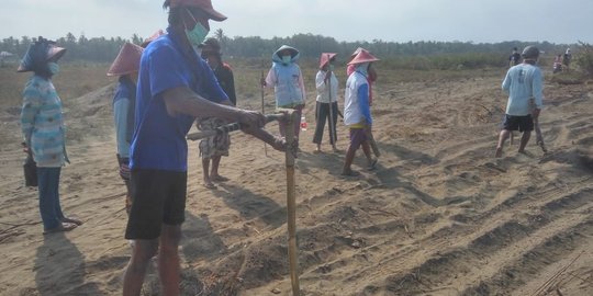 Tolak pembangunan Bandara NYIA, warga pasang patok tanah