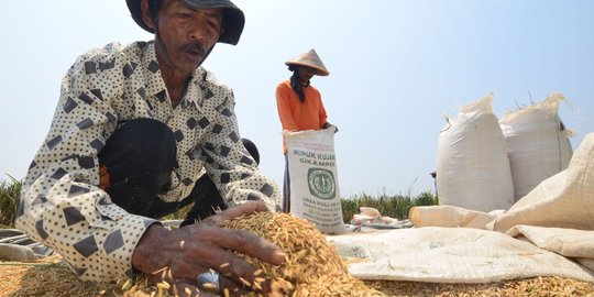 Tingkatkan kesejahteraan petani, BUMN dorong program kewirausahaan dan digitalisasi