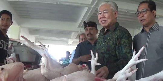 Mendag Enggar sebut harga pakan ayam tinggi buat telur mahal