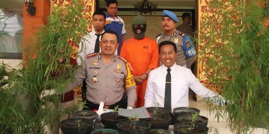 Tanam puluhan pohon ganja di rumah, Nandi diciduk polisi