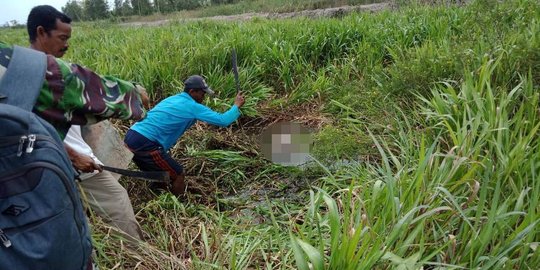 Diterkam buaya saat memancing, warga Banyuasin ditemukan tewas mengenaskan