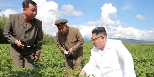 Gaya Kim Jong Un saat melihat perkebunan di Samjiyon