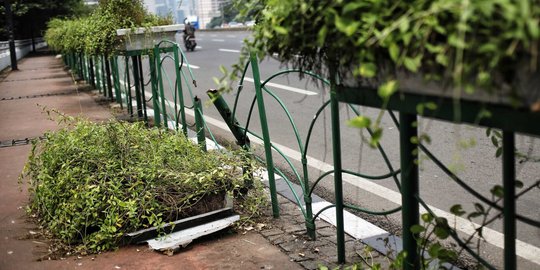 Kurangnya perawatan, pot tanaman hias di trotoar Sudirman memprihatinkan