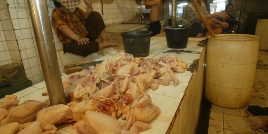 Terus meroket, harga daging ayam tembus Rp 40.000 per Kg