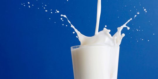 Berbagai manfaat minum susu bagi orang dewasa