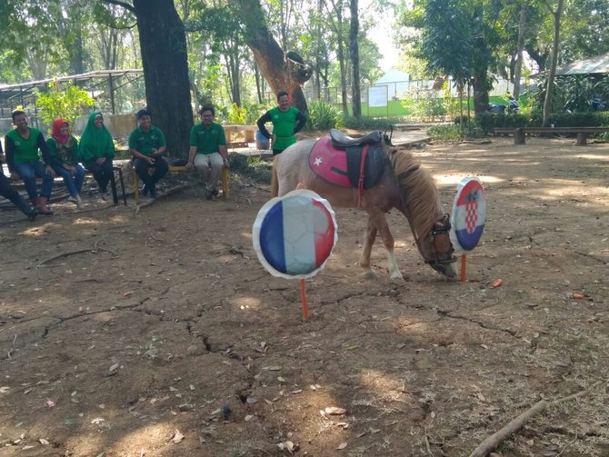satwa kebun binatang solo prediksi pemenang piala dunia
