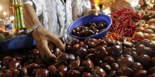 Harga jengkol tembus Rp 80.000 per Kg, pedagang sulit dapatkan pasokan