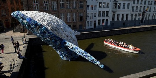 Muncul di sungai, paus sampah plastik hebohkan Belgia